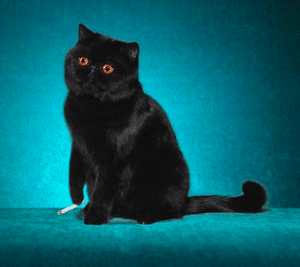 hhhhhhhhhh